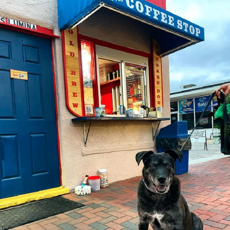 The Trolley Stop - Hot Dog Stories